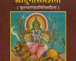 दुर्गा सप्तशती (9 दिन)
